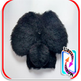 قاب خزدار پشمالو خرگوشی