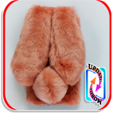 قاب خزدار پشمالو خرگوشی