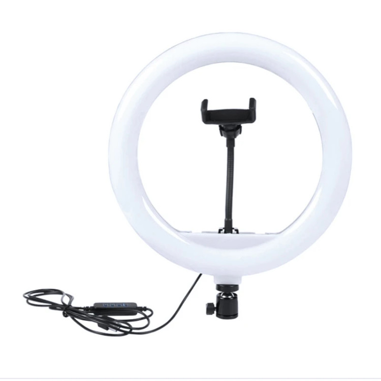 رینگ لایت 12 اینچ مدل M-300